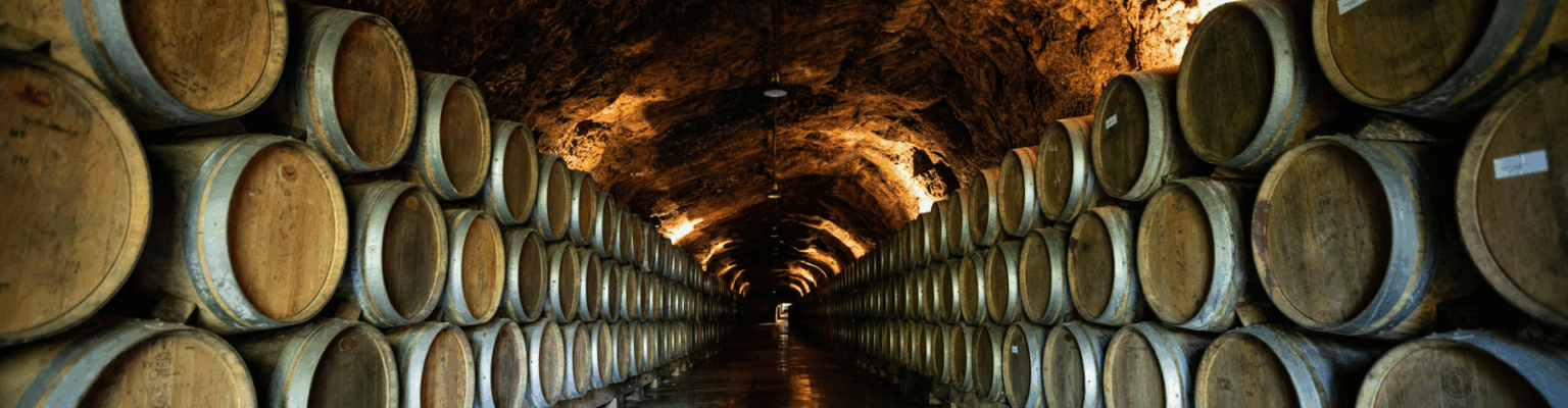 Barricas de vino crianza en bodega de Rioja Alavesa – comprar vino crianza Rioja
